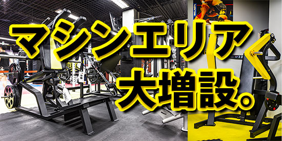 Ts Gym トップ Ts Gym 栄